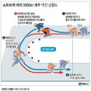 [2014 소치]2014 제22회 소치 동계올림픽-쇼트트랙 여자 3000m 계주 역전 상황도(2014.02.18 연합뉴스)[그래픽] 이미지