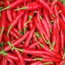 숲속의 농장 이미지