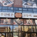 광장로(시외터미널 옆) 네이버블로그