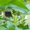 용인우리내과의원 이미지