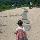 (주)아에 | 판교몽 : 서울근교 아이랑 가볼만한 곳/주말방문/인스타핫플 솔직후기