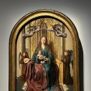 코마시스 이미지