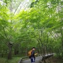 2018 06 16 고창 선운산 속살바위 등반했습니다 이미지