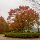 Flying to the Moon (떠난 날을 위한 엘레지) / Utada Hikaru (우타다 히카루) 이미지