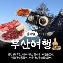 원조경상도떡볶이 | [경상도/부산] 하루 N끼 먹으러 떠난 2박3일 세모녀 부산여행기(2일차/해동용궁사, 해운대암소갈비)