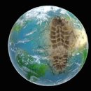 현대가축인공수정소 | 인류세(Anthropocene) 담론