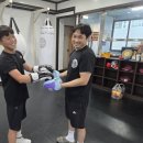 대성킴복싱클럽 이미지