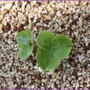 영락고등학교 이미지