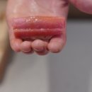 스시세븐 이미지