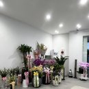 디딤재활의학과의원 이미지