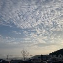리틀미코노스1 네이버블로그