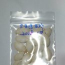 미니하우스 이미지