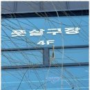 용인대 수 태권도장 이미지