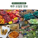 재놀스배어린이집 | 제주 민속 오일장 주차 먹거리 제주도 오일장 날짜 제주시 시장 투어