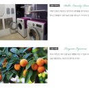 중문오션스테이 이미지