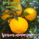 돌산농원 이미지