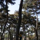 국민 돈가스 이미지