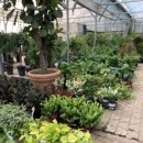 개정꽃농원 이미지