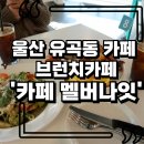 멜버나잇 이미지