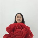 마루한태권도장 - 원주시 행구로 24 | 체험 문의 많은 마산성인태권도 선택, 자주 묻는 궁금증 고민까지 싹 해결!
