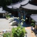 운수암 등산로 네이버블로그