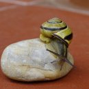 행정사 남형석 사무소 이미지