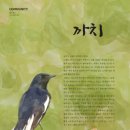 까치환경(주) 이미지