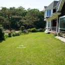 바다가 그리운 나무 이미지