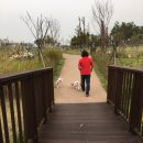 아라몰리