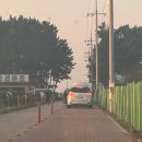 몽산포오션캠핑장 | 태안 애견 동반 가능 캠핑장 몽산포 오션 캠핑장 방문 후기