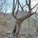 일번 이미지