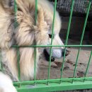 소담공방 이미지