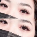 하비래쉬