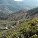 봇재주유소 이미지