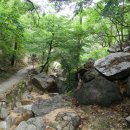 인왕산수성동계곡 Daum카페