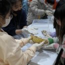 부천서초등학교 이미지