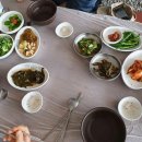 해피비비컴퍼니 이미지