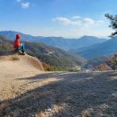 영동약국 이미지