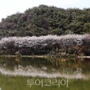 동정 이미지