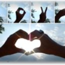 샐리가든 이미지