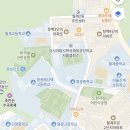 주미광고 | 초안산 수국축제 후기 :: 6월 21일 수국 만개 상황 | 주차 꿀팁