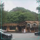 청풍황금송어 이미지