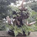 세월산장 이미지