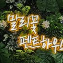 말리꽃펜트하우스 이미지