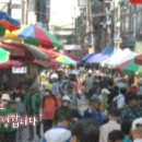 여주-1139 이미지