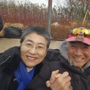 행복축구전용구장 이미지