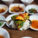 미소안재활병원 | 몸보신 제대로 하고 온 창원 오리탕 맛집 "자연농원 합성점"