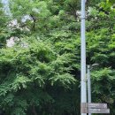 양재시민의 숲 3번출구 이미지