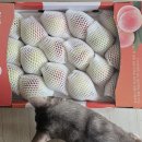 용연농산물