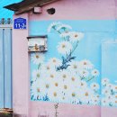 용장천 | 서산용장천 주차 샤스타데이지명소 벽화마을 충남 서산 가볼만한곳